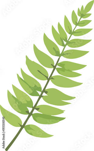 식물, 초록, 자연, 잎사귀, 신선함, 유기농, 나뭇잎, 네이처, 단풍, 나무, 가지, 봄, 신선, 성장, 새로운, 줄기, green, 여름, 식물학, 새싹, 새순