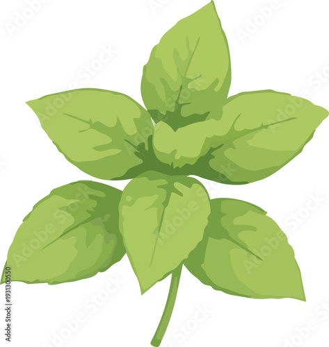 식물, 초록, 자연, 잎사귀, 신선함, 유기농, 나뭇잎, 네이처, 단풍, 나무, 가지, 봄, 신선, 성장, 새로운, 줄기, green, 여름, 식물학, 새싹, 새순