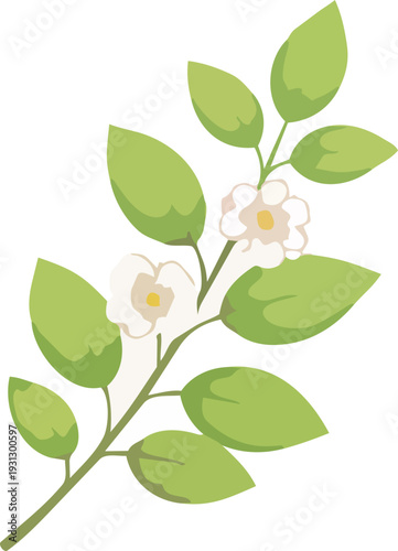 식물, 초록, 자연, 잎사귀, 신선함, 유기농, 나뭇잎, 네이처, 단풍, 나무, 가지, 봄, 신선, 성장, 새로운, 줄기, green, 여름, 식물학, 새싹, 새순