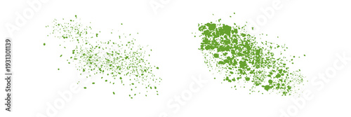 Matcha powder or green tea. Flying matcha powder isolated on white background. Vector illustration