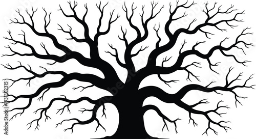 Black oak tree silhouette with sprawling bare branches, isolated large mystical old wood plant vector illustration for spooky or nature design