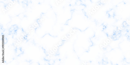 Abstract white and light blue marbled texture with subtle gray veins and organic flowing patterns. Abstract white and light blue marbled texture with subtle gray veins and organic flowing patterns.
