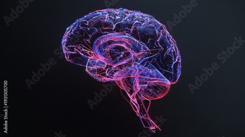Digital Brain Illustration with Pink and Blue Neural Connections on Black Background for Medical Research and Technology Display