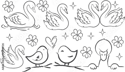 hand drawn swan and love bird outline doodle art, Crayon pencil line art style, elegant minimalist drawing of swans and love birds in clean black ink lines, isolated on white background. vector design