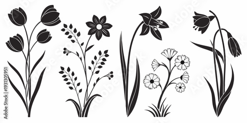 A beautiful illustration of various flowers with intricate details and elegant designs