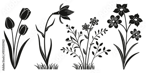 A delightful collection of various flowers in a charming black and white illustration