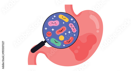 Conceptual view of gut microbiome showing beneficial bacteria inside the stomach through a magnifying glass for health awareness.
