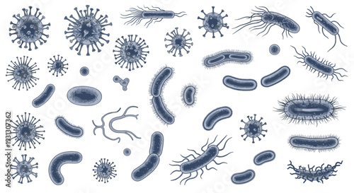 Microscopic view of various types of bacteria and viruses illustrating the diversity of microorganisms and their structural features.