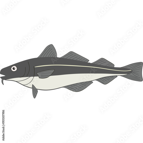 Cod Fish (Tara) Illustration Isolated on White Background Vector Seafood Clipart