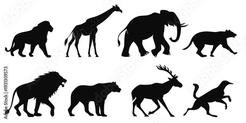 A diverse collection of silhouetted animals showcasing various species and their unique shapes