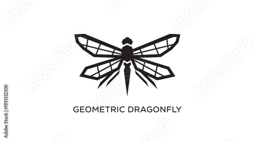 A  geometric dragonfly logo on a white background, featuring a black insect with detailed wings and body, suitable for branding and design projects.
