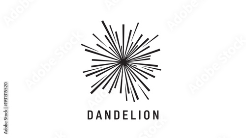 A sleek, modern logo featuring a stylized black dandelion burst on a white background, conveying simplicity and elegance, perfect for branding and identity projects.