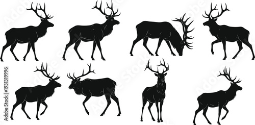Elk silhouettes, antlered poses, walking stance, grazing motion, wildlife anatomy, vector animal set, black design, nature illustration