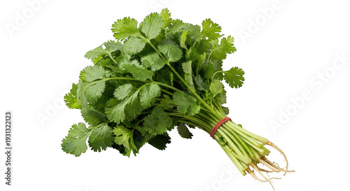 A bunch of fresh parsley on a white background