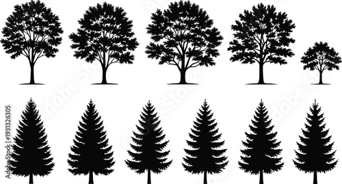 Tree silhouettes collection, deciduous and pine forest trees set, nature landscape botanical vector illustration isolated on white background