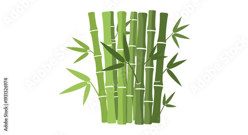 Green bamboo stalks with leaves.