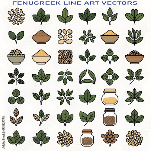 Fresh Fenugreek Leaves Isolated on White Background Vector Illustration