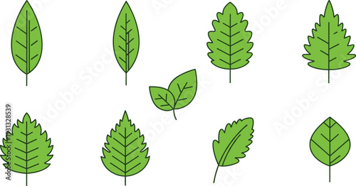 Minimalist Green Leaf Icon Set Featuring Various Natural Foliage Shapes and Botanical Outlines for Eco Friendly Branding, Sustainability Apps, and Organic Product Designs