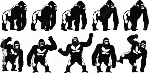 Gorilla silhouette collection set, black vector illustration of powerful ape in different poses isolated on white background
