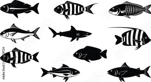 Fish silhouette set, various marine and freshwater species collection including shark and striped tropical fish for seafood, aquarium and fishing design