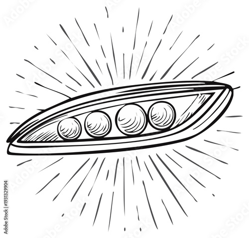 Hand-drawn sketch of a pea pod with four peas bursting with sunshine rays