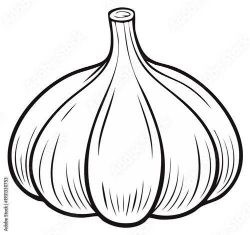 Simple line drawing of a whole garlic bulb with a stem and cloves outlined