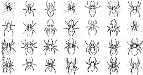 Spider Vector Set: Creepy Crawlies in Outline Style