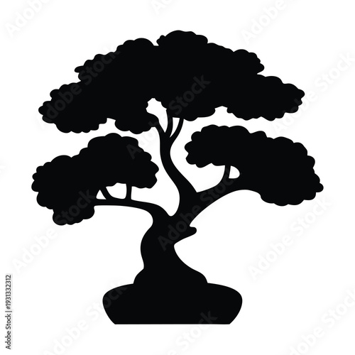 Elegant black silhouette of a bonsai tree in a pot on white