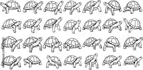 A charming collection of hand-drawn cartoon turtles in various poses, perfect for children's books and animal-themed designs.