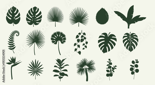 Collection of various tropical leaves and plants in dark green.