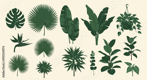 Collection of various green tropical leaves and plants silhouettes.