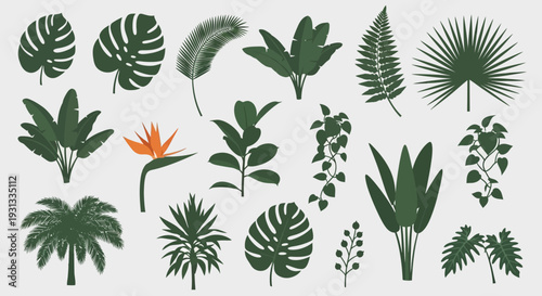 Collection of various tropical leaves and plants illustrations.