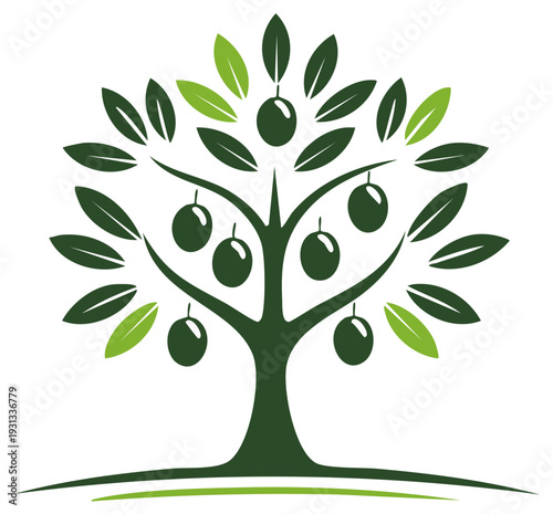 Stylized olive tree with green leaves and fruits illustration against a white background.