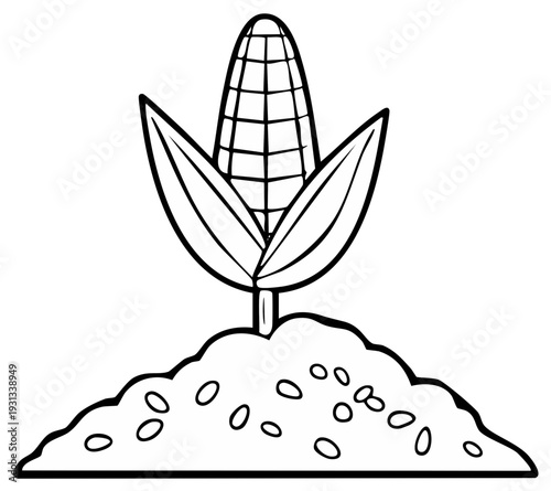 Simple illustration of a single corn cob emerging from a mound of soil