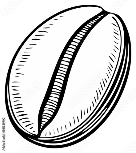 Single coffee bean detailed line art illustration of roasted seed for beverage