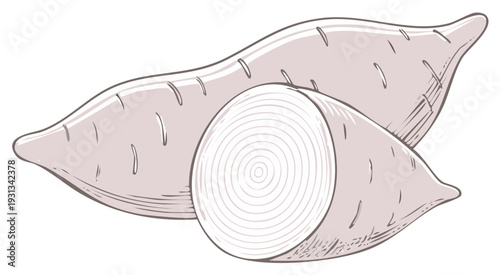 Two Raw Sweet Potatoes One Sliced Showing Rings and Texture