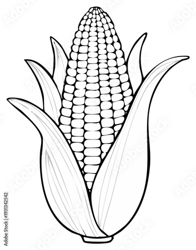 Black and white line drawing of a single ear of corn with husks