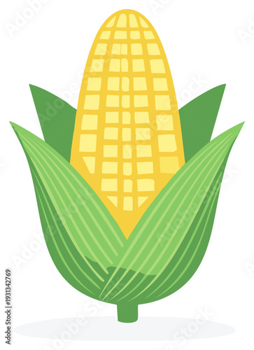 Stylized vector illustration of a fresh ear of corn with green husks flat design icon