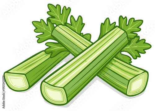Fresh Celery Stalks and Leaves in a Cartoon Illustration