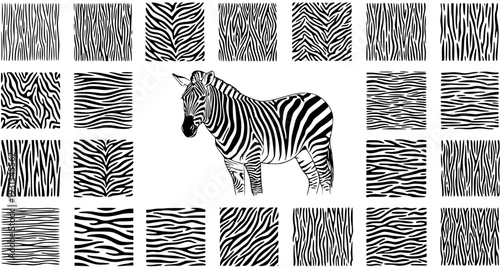 Detailed black and white illustration of a zebra surrounded by a diverse collection of various striped patterns, showcasing different zebra print textures and designs.