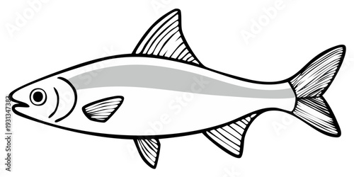 Stylized drawing of a silvery fish with fins and tail clearly defined