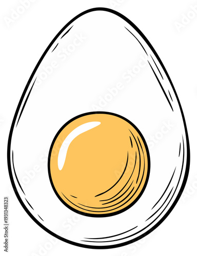 Illustration of a half boiled egg with yolk and shell, food concept.