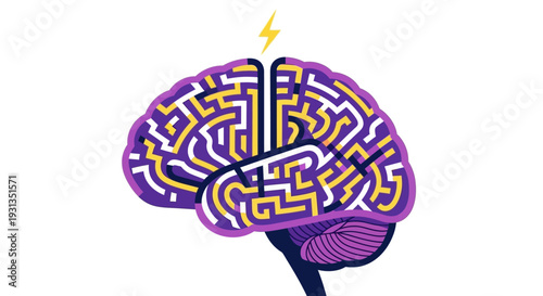 An illustrated human brain with a maze-like pattern inside, signifying thought and problem-solving processes, viewed from the front.