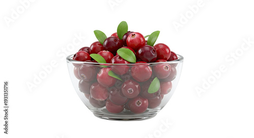 Bowl of Fresh Cranberries with Leaves
