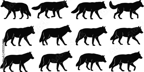 Wolf walking cycle silhouettes, side profile poses, animal motion study, black vector wolves, animation reference, biomechanics illustration, flat vector illustration