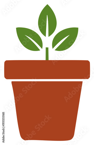 Sprouting plant in a terracotta pot