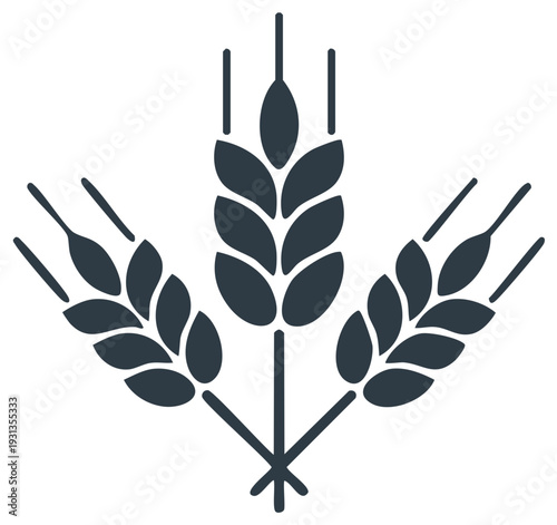 Stylized wheat vector illustration, agriculture icon, rye harvest symbol, grain silhouette, farm concept