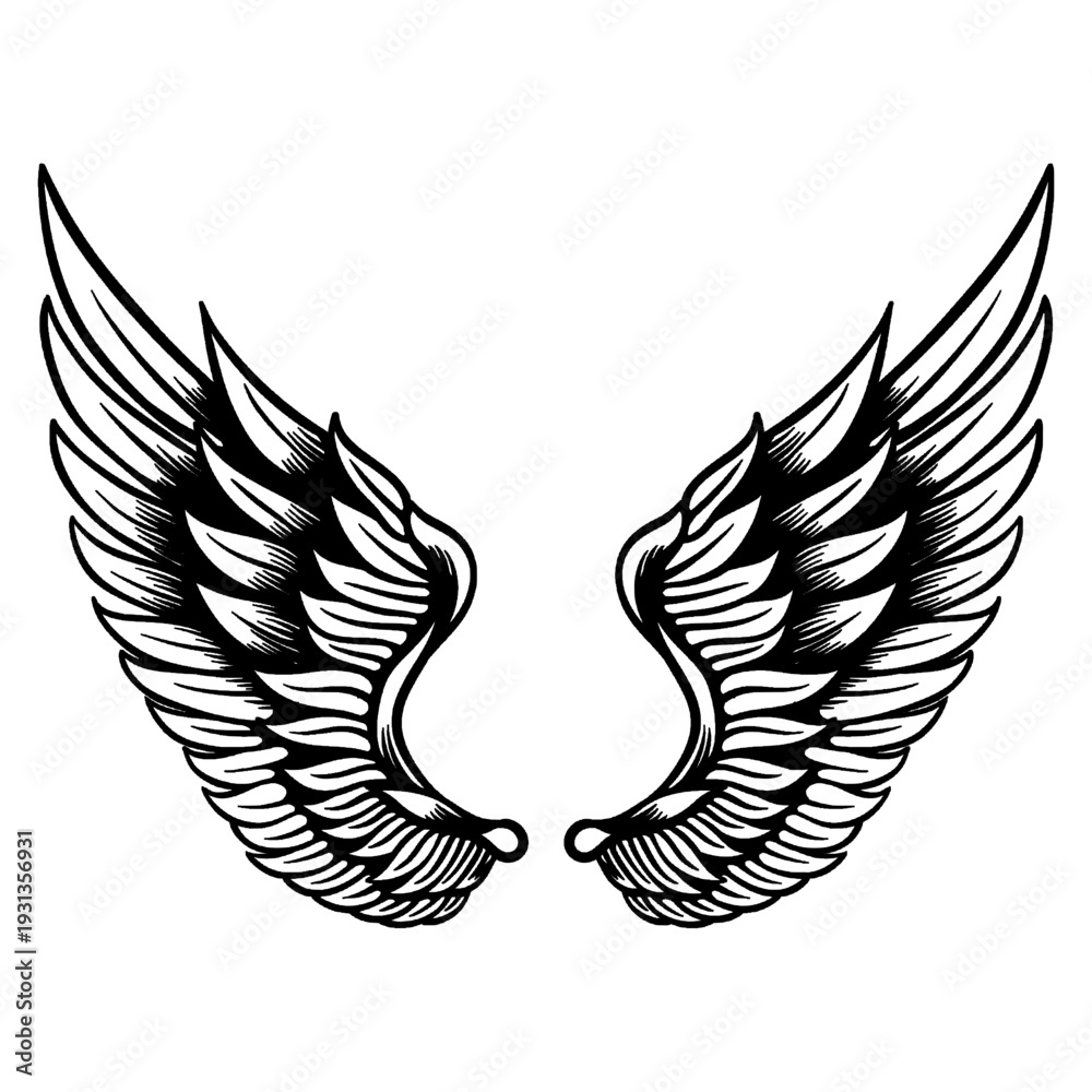 Fototapeta premium wings vector illustration