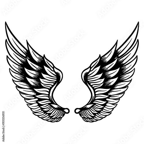 wings vector illustration