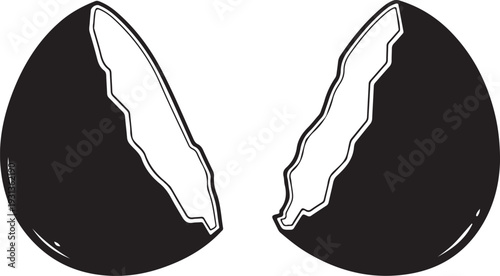 Broken black eggshell halves with white interior isolated background
